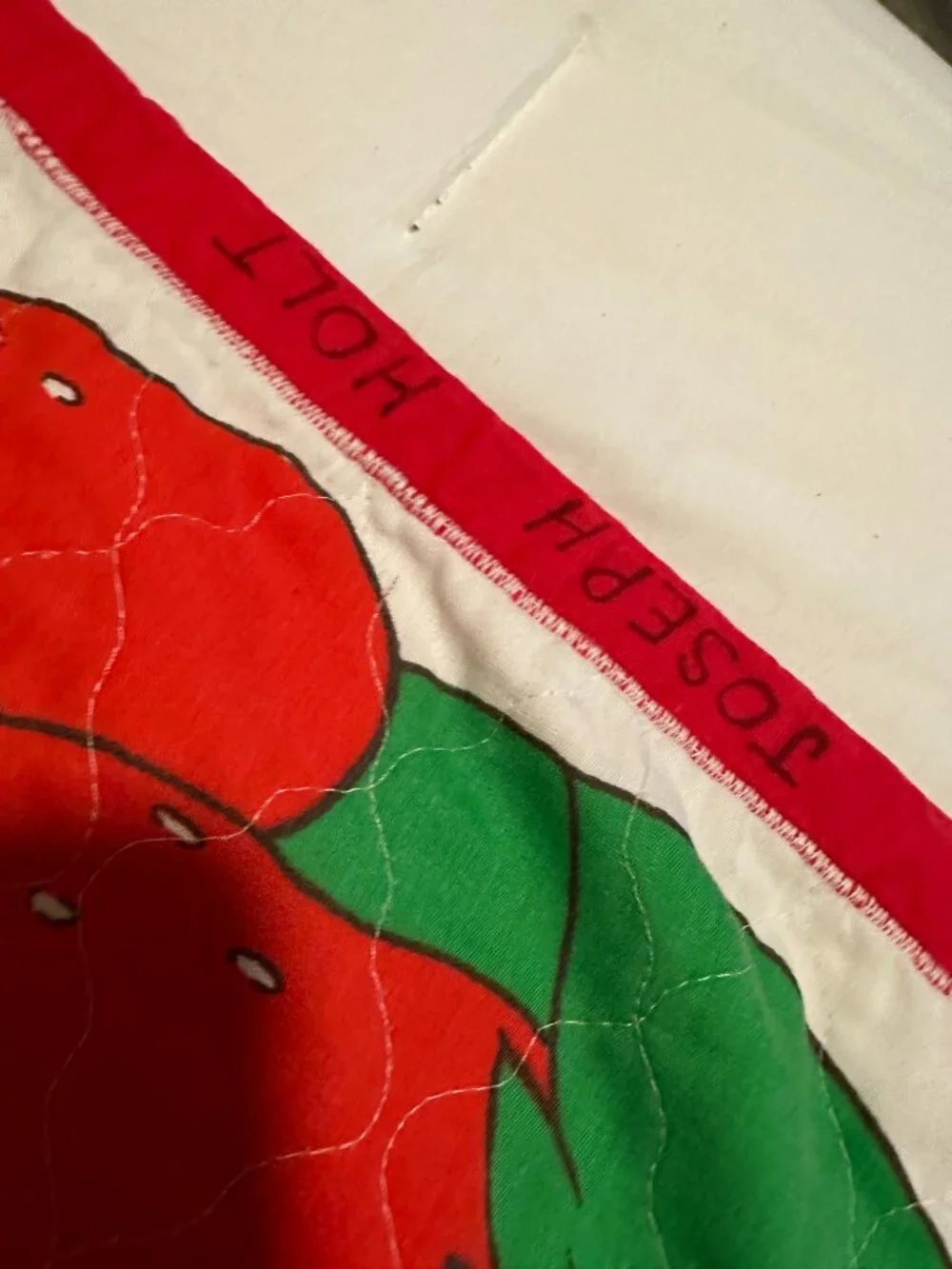 VTG 80s Huckleberry Pie Boy Strawberry Shortcake Thin Quilted Blanket